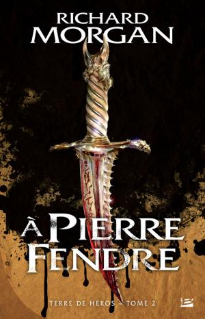 Book cover of A pierre fendre