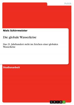 Cover of the book Die globale Wasserkrise by Nadine Elisabeth Müller