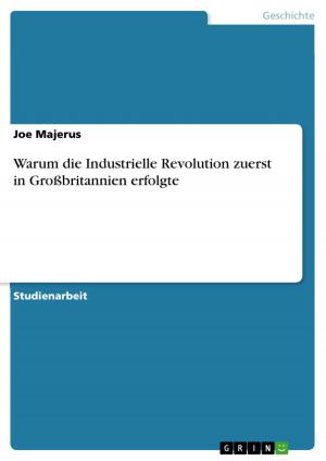 Cover of the book Warum die Industrielle Revolution zuerst in Großbritannien erfolgte by Jörg Viebranz