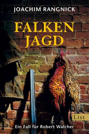 Cover of the book Falkenjagd by Roman Maria Koidl