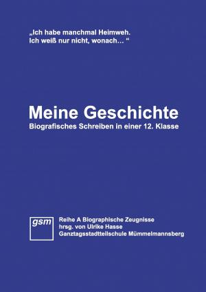 Cover of the book Meine Geschichte by Antje Steffen