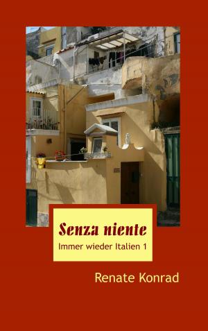 Cover of the book Senza niente by Jürgen Trautner, Michael-Andreas Fritze, Karsten Hannig, Matthias Kaiser
