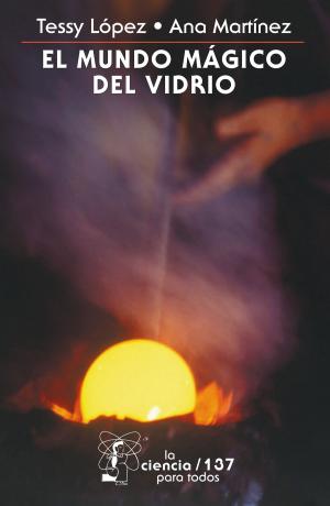 Cover of the book El mundo mágico del vidrio by Ignacio Padilla
