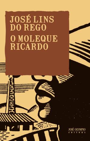 Book cover of O moleque Ricardo