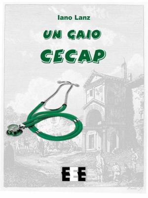 Cover of the book Un gaio cecap by John Brinling