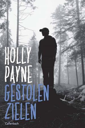 Cover of the book Gestolen zielen by A.C. Baantjer