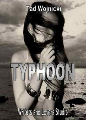 Cover of the book Typhoon by Lì shā