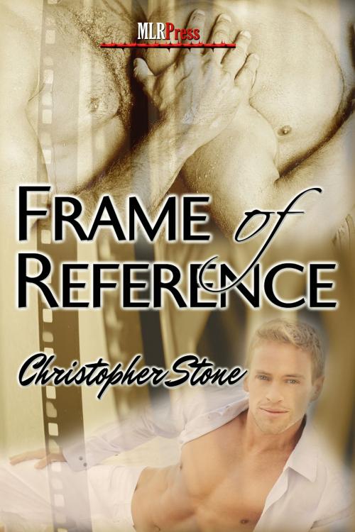 Cover of the book Frame of Reference by Christopher Stone, MLR Press