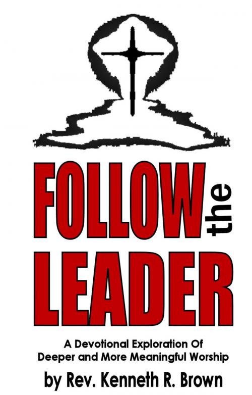 Cover of the book Follow the Leader by Kenneth R. Brown, Shadowfire Books
