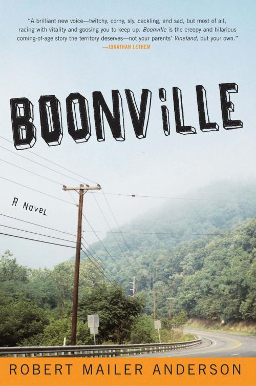 Cover of the book Boonville by Robert Mailer Anderson, Harper Perennial