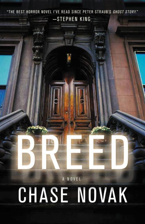 Cover of the book Breed by Chase Novak, Little, Brown and Company