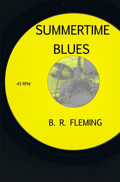 Cover of the book Summertime Blues by B. R. Fleming, B. R. Fleming