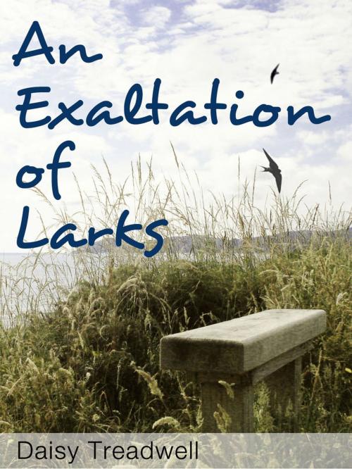 Cover of the book An Exaltation of Larks by Daisy Treadwell, Bigwig Books