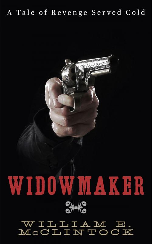 Cover of the book Widowmaker by William E. McClintock, William E. McClintock