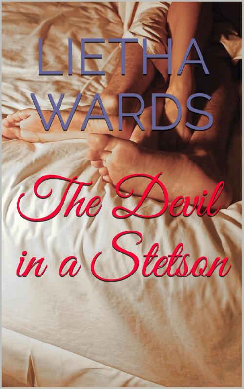 Cover of the book The Devil in the Stetson by Lietha Wards, Lietha Wards