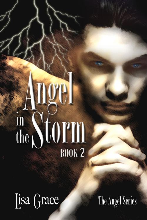 Cover of the book Angel in the Storm, Book 2 by Lisa Grace (Angel Series) by Lisa Grace, Lisa Grace