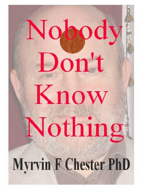 Cover of the book Nobody Don't Know Nothing by Myrvin Chester, Myrvin Chester