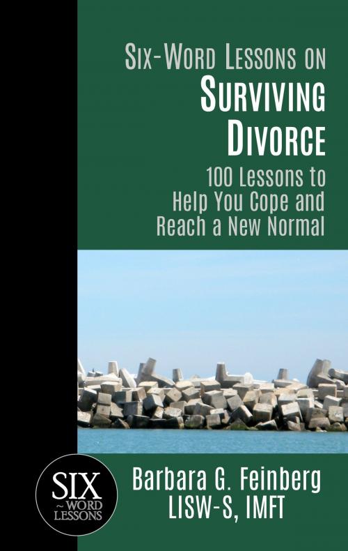 Cover of the book Six-Word Lessons on Surviving Divorce: 100 Lessons to Help You Cope and Reach a New Normal by Barbara Feinberg, Barbara Feinberg