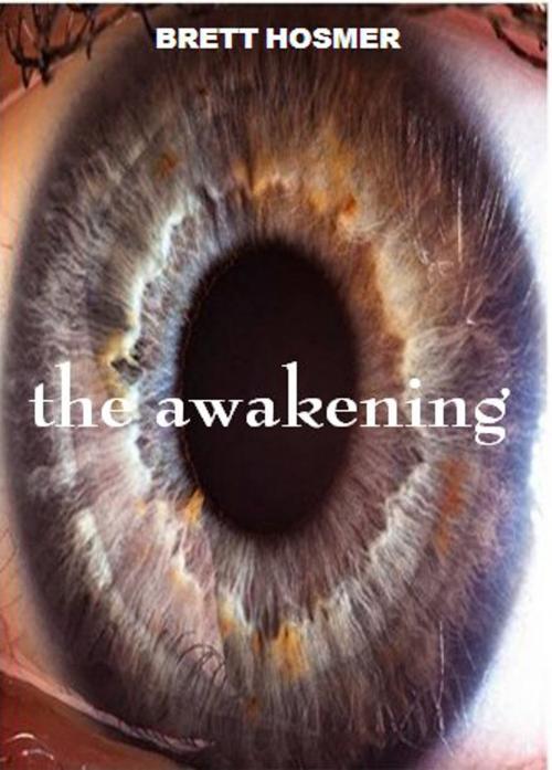 Cover of the book The Awakening by Brett Hosmer, Brett Hosmer