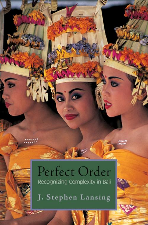 Cover of the book Perfect Order by J. Stephen Lansing, Princeton University Press