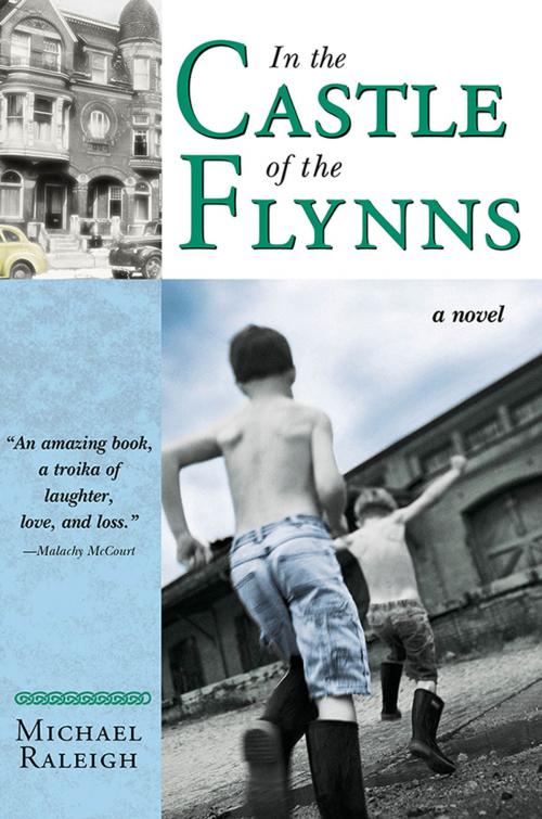 Cover of the book In the Castle of the Flynns by Michael Raleigh, Sourcebooks