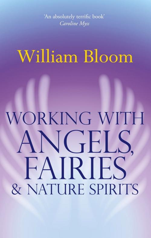 Cover of the book Working With Angels, Fairies And Nature Spirits by William Bloom, Little, Brown Book Group