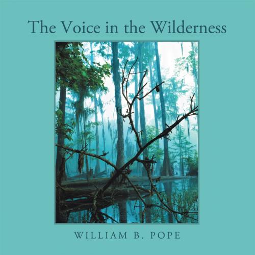 Cover of the book The Voice in the Wilderness by William B. Pope, WestBow Press