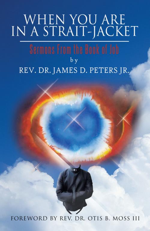 Cover of the book When You Are in a Strait-Jacket by REV.DR.JAMES D. PETERS JR., Trafford Publishing