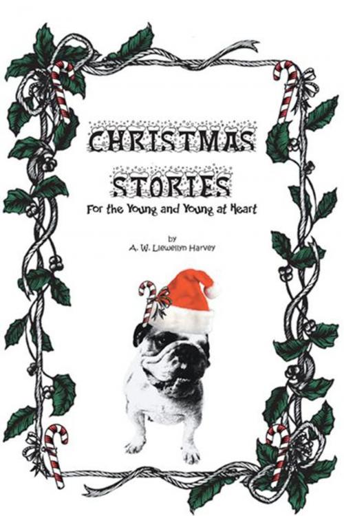 Cover of the book Christmas Stories by A. W. Llewellyn Harvey, Trafford Publishing