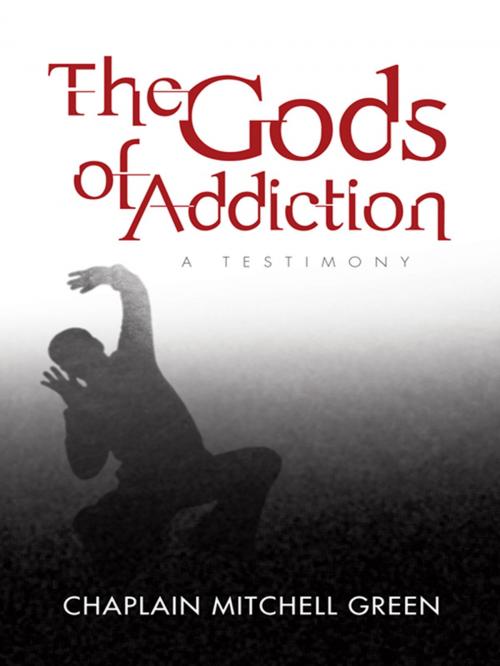 Cover of the book The Gods of Addiction by Chaplain Mitchell Green, iUniverse