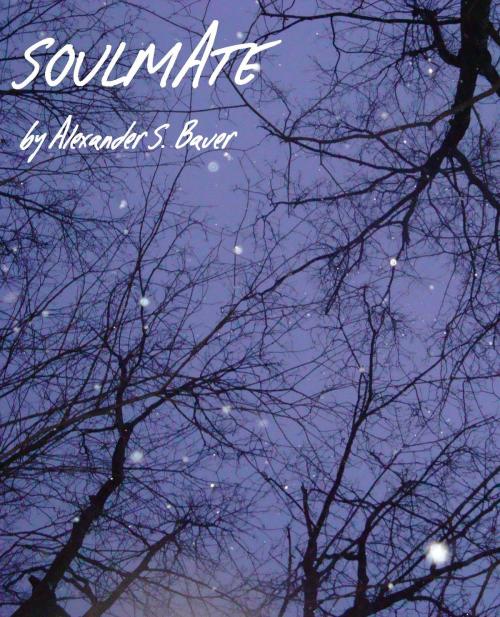 Cover of the book Soulmate by Alexander S. Bauer, Alexander S. Bauer