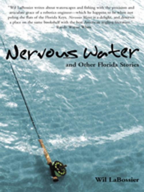 Cover of the book Nervous Water and Other Florida Stories by Wil Labossier, Pineapple Press