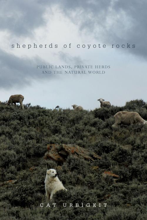 Cover of the book Shepherds of Coyote Rocks: Public Lands, Private Herds and the Natural World by Cat Urbigkit, Countryman Press