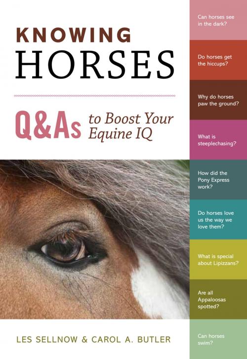 Cover of the book Knowing Horses by Carol A. Butler, Les Sellnow, Storey Publishing, LLC