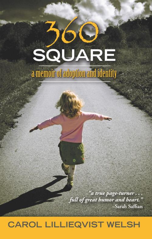 Cover of the book 360 Square by Carol Lillieqvist Welsh, BookBaby