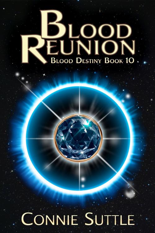 Cover of the book Blood Reunion by Connie Suttle, SubtleDemon Publishing, LLC