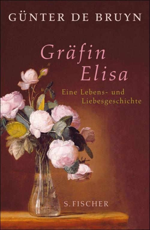 Cover of the book Gräfin Elisa by Günter de Bruyn, FISCHER E-Books