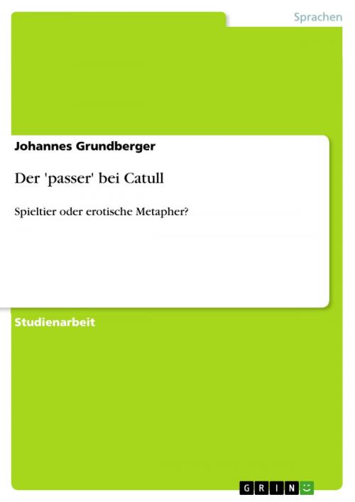 Cover of the book Der 'passer' bei Catull by Johannes Grundberger, GRIN Verlag