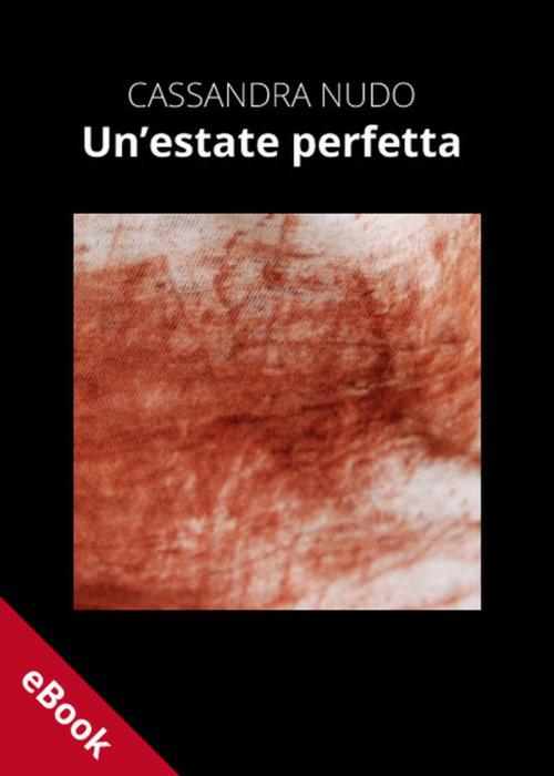 Cover of the book Un'estate perfetta by Cassandra Nudo, Edizioni DrawUp