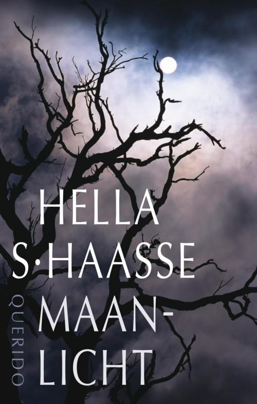 Cover of the book Maanlicht by Hella S. Haasse, Singel Uitgeverijen