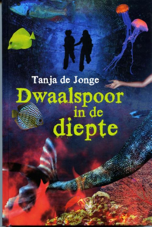 Cover of the book Dwaalspoor in de diepte by Tanja de Jonge, Uitgeverij Holland