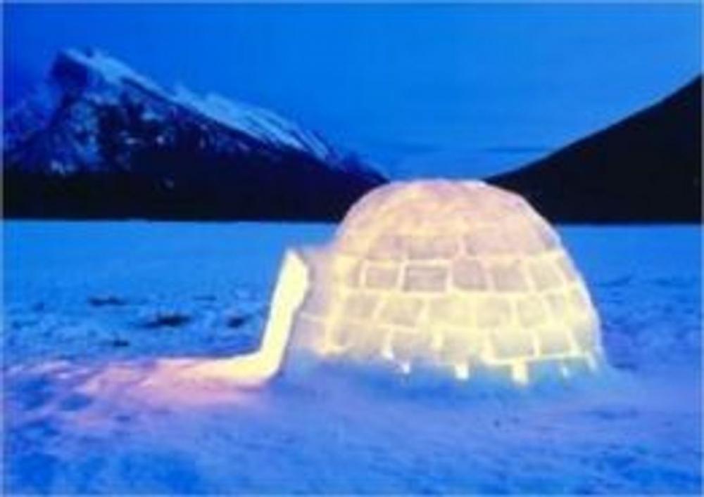 Big bigCover of How to Build an Igloo