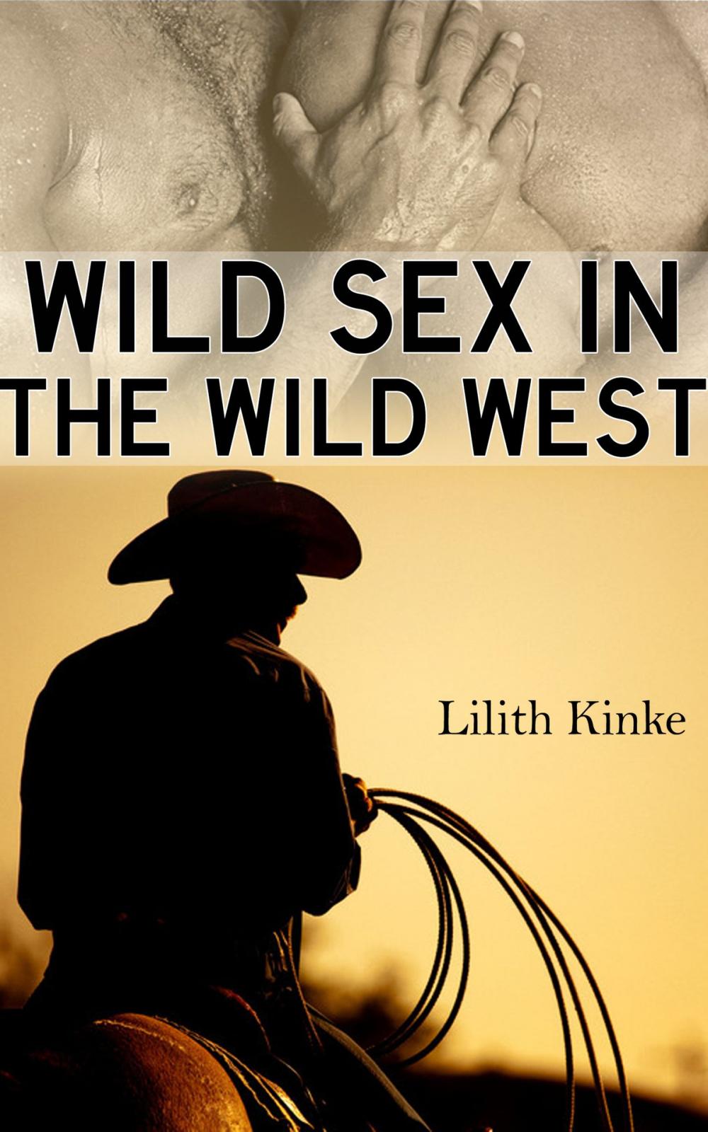 Big bigCover of Wild Sex in the Wild West