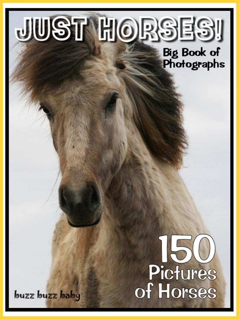 Big bigCover of 150 Pictures: Just Horse Photos! Big Book of Horse Photographs, Vol. 1