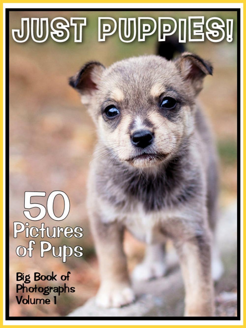 Big bigCover of 50 Pictures: Just Puppies! Big Book of Puppy Dog Photographs, Vol. 1