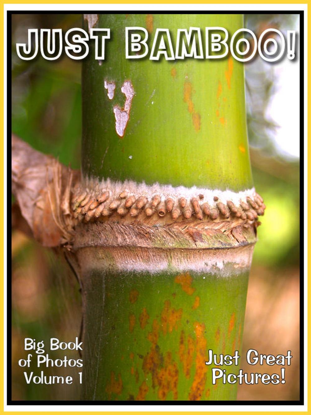 Big bigCover of Just Bamboo Photos! Big Book of Photographs & Pictures of Bamboo, Vol. 1