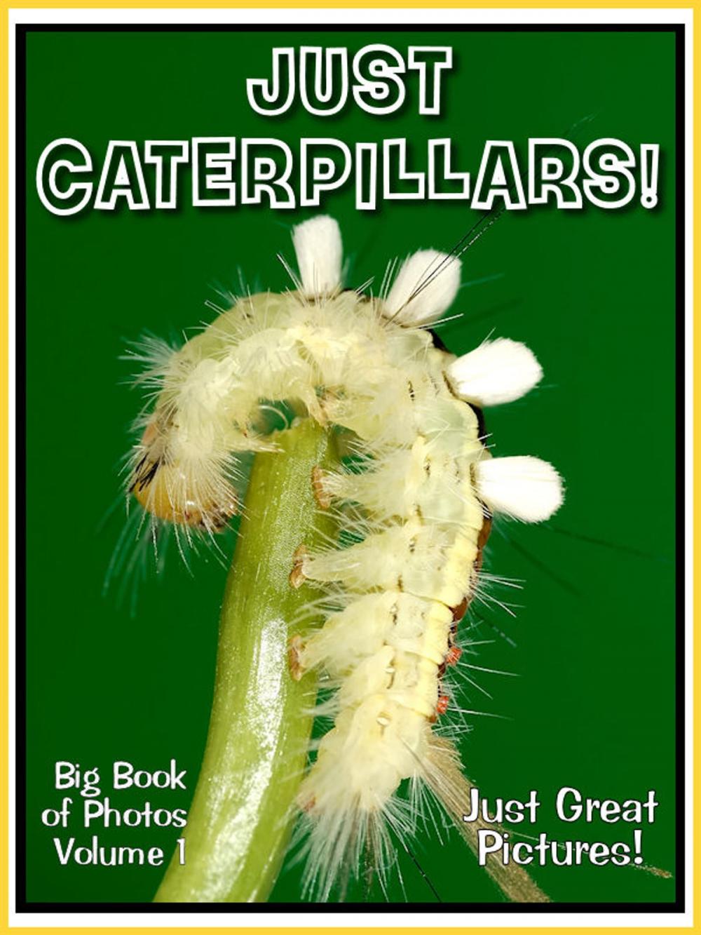 Big bigCover of Just Caterpillar Photos! Big Book of Photographs & Pictures of Caterpillars, Vol. 1