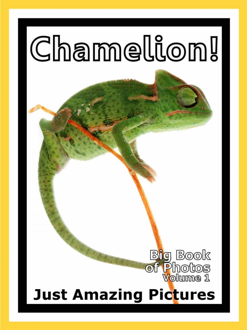 Big bigCover of Just Chamelion Lizard Photos! Big Book of Photographs & Pictures of Chamelions Lizards, Vol. 1