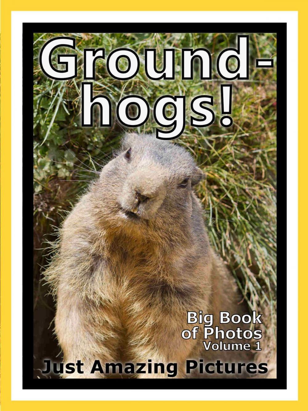 Big bigCover of Just Groundhog Photos! Big Book of Photographs & Pictures of Groundhogs, Vol. 1