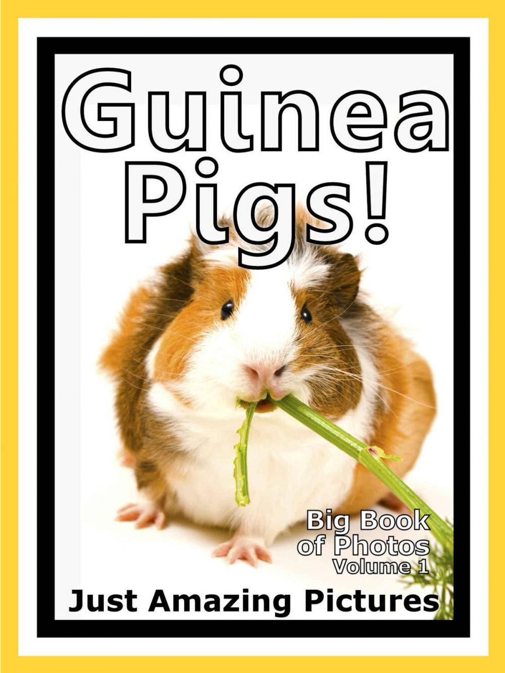 Big bigCover of Just Guinea Pig Photos! Big Book of Photographs & Pictures of Guinea Pigs, Vol. 1